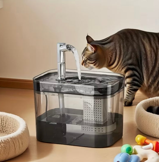 Fontaine à eau électrique pour chat