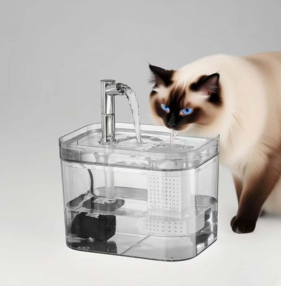 Fontaine à eau électrique pour chat